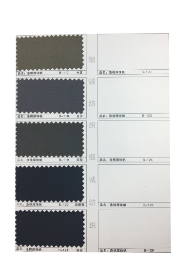 GZ-XNCG   滌棉厚珠帆  T80/C20   21+21*10  72*40 後面照